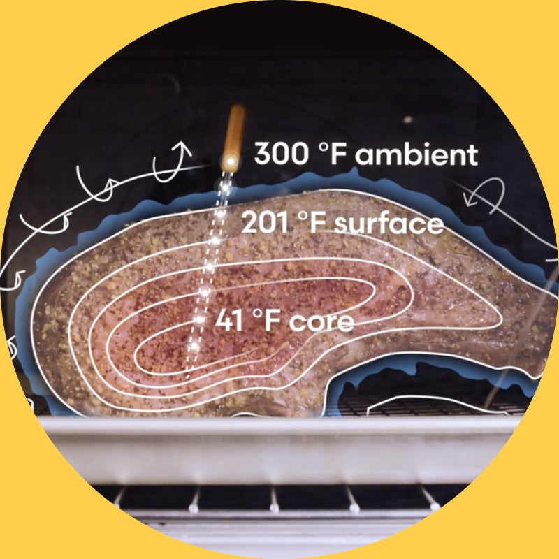 Diagram of temperature zones throughout a rib roast, showing the location of the boundary layer.
